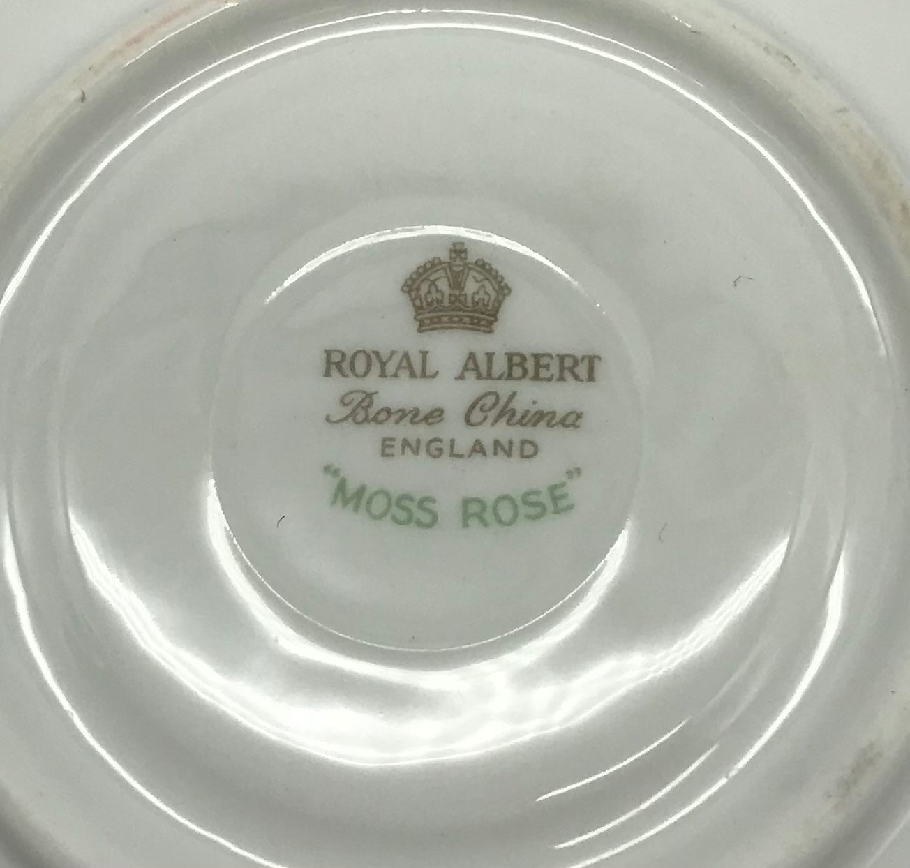 Royal Albert Moss Rose Bone China Unterteller, Kaffeeteller Blumendekor