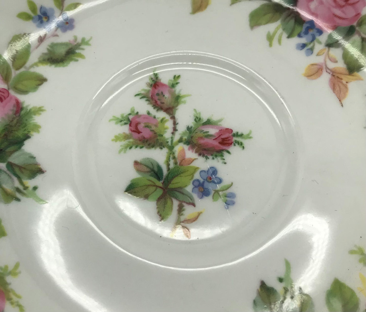Royal Albert Moss Rose Bone China Unterteller, Kaffeeteller Blumendekor