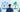 Online-Gebot oder Festpreis: Was lohnt sich?
