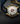 Blau-Goldene Swiss Legend Uhr