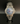 Citizen Watch            905