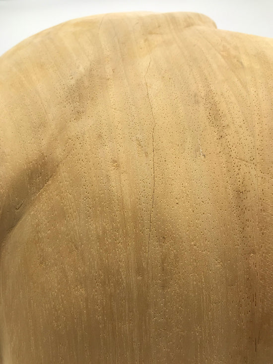 duje jurkovic - Darmstadt 1988 Die Kauernde