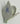 Porzellan Rose Blume Aquincum Budapest handbemalt, rosa