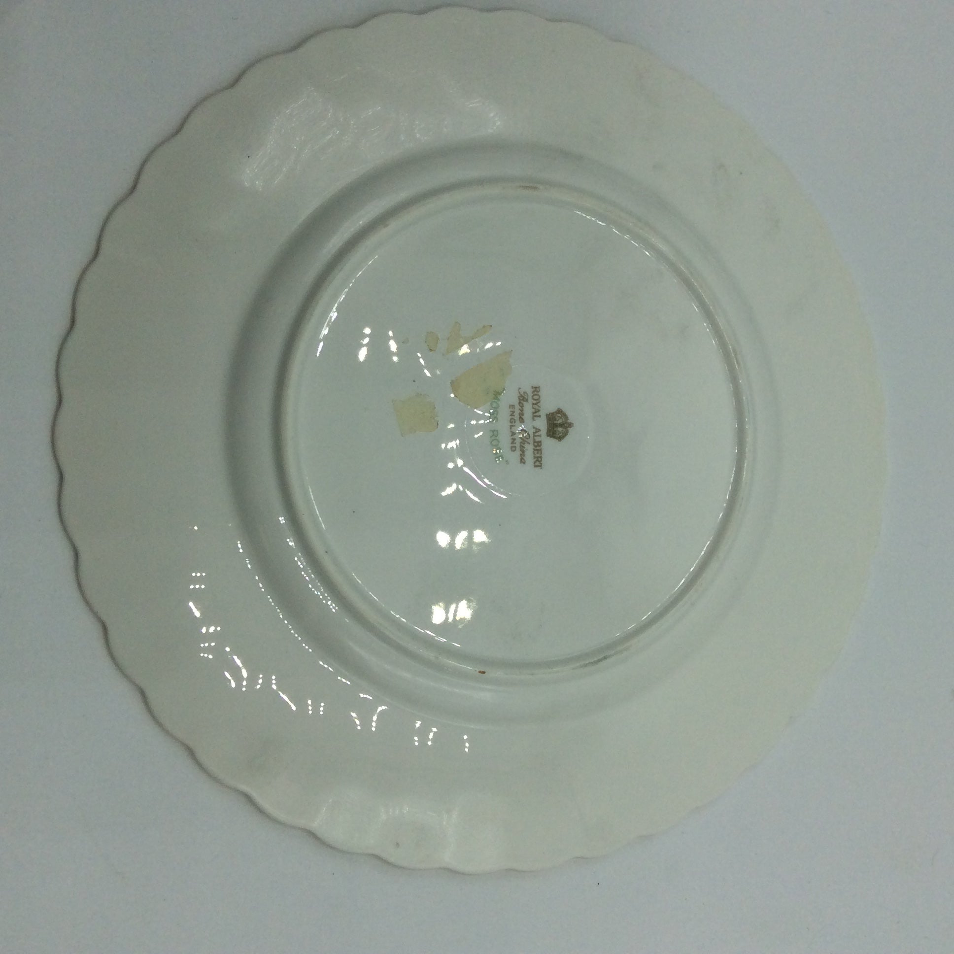 Royal Albert MOSS ROSE Kaffeegedeck 3tlg. Sammeltasse Bone China England