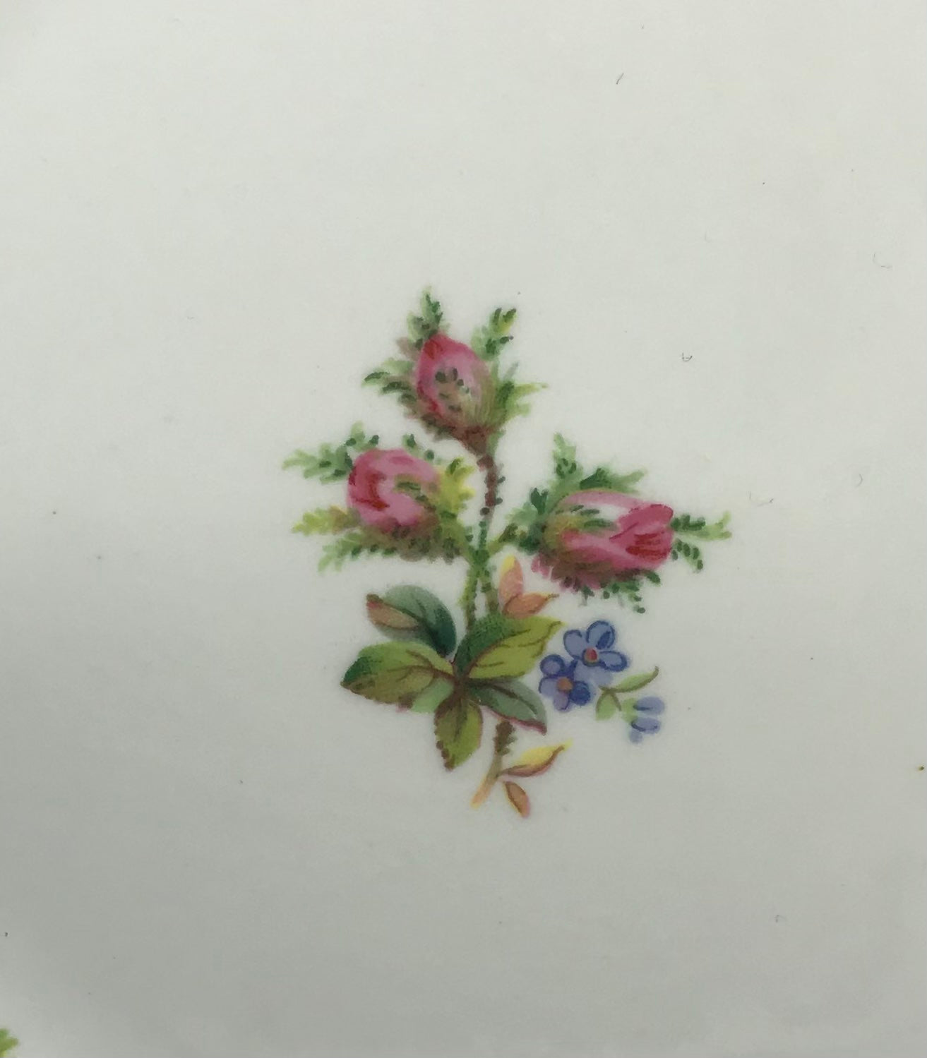 Royal Albert Moss Rose Bone China Brotteller, Kuchenteller