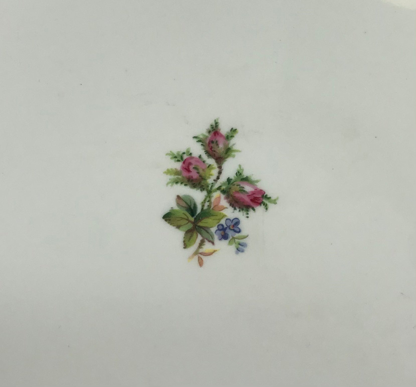 Royal Albert Moss Rose Bone China Goldrand Kuchenplatte Servierplatte