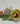 Porzellan Rose Blume Aquincum Budapest handbemalt, rosa, gelb,orange