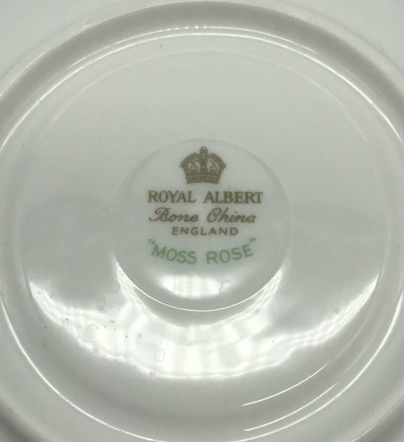 6 x Royal Albert Moss Rose Bone China Unterteller, Teeteller Blumendekor