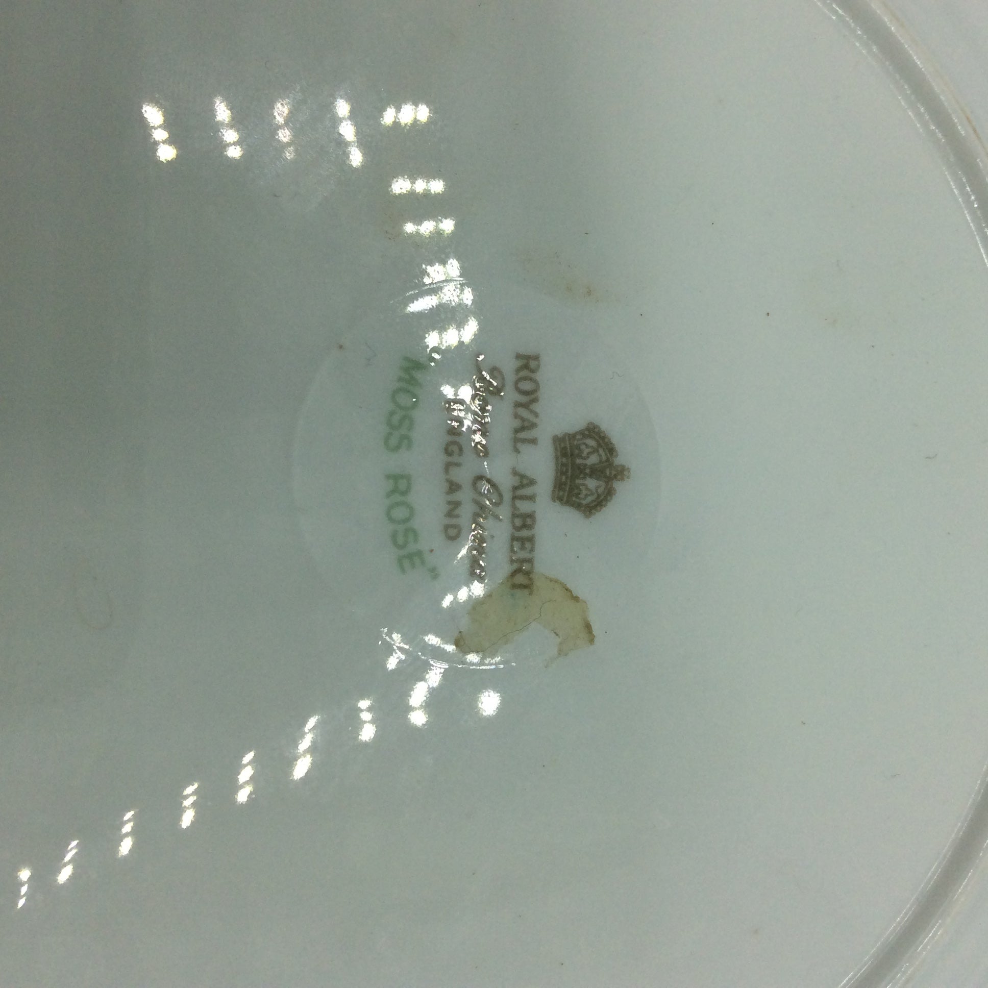 Royal Albert MOSS ROSE Kaffeegedeck 3tlg. Sammeltasse Bone China England