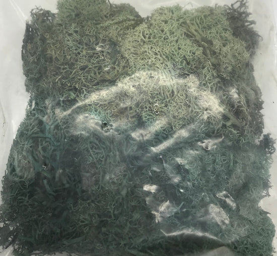 BUSCH 7102 Islandmoos, 2 Stück