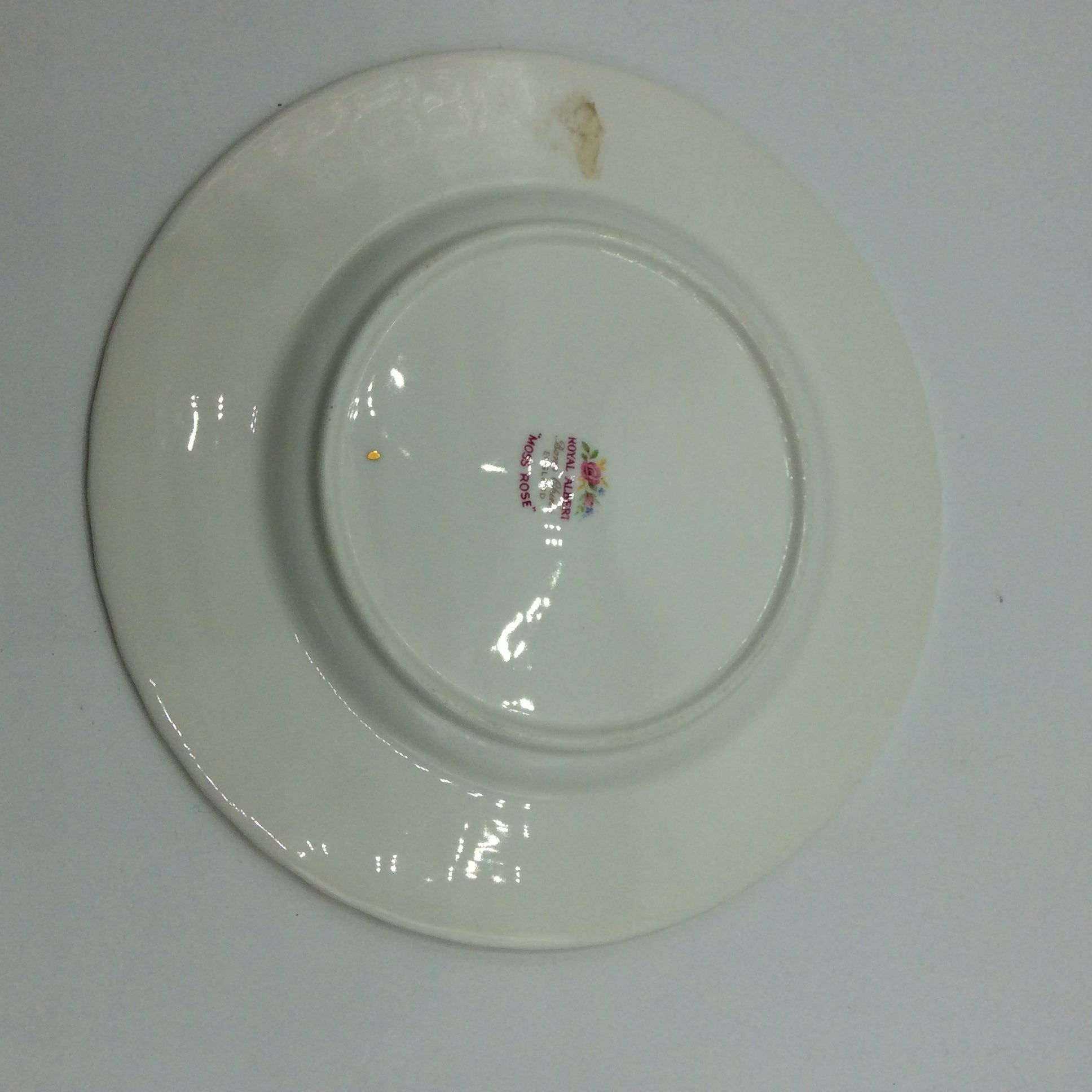 Royal Albert MOSS ROSE Kaffeegedeck 3tlg. Sammeltasse Bone China England